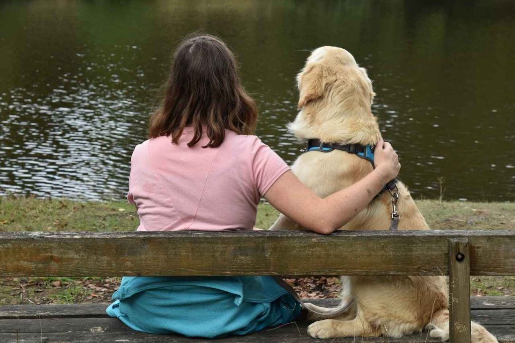 cuccioli golden che amano l'acqua